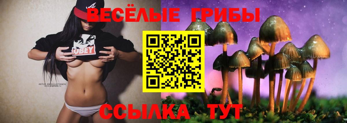 Галлюциногенные грибы мицелий  Вход с VPN  Углич 